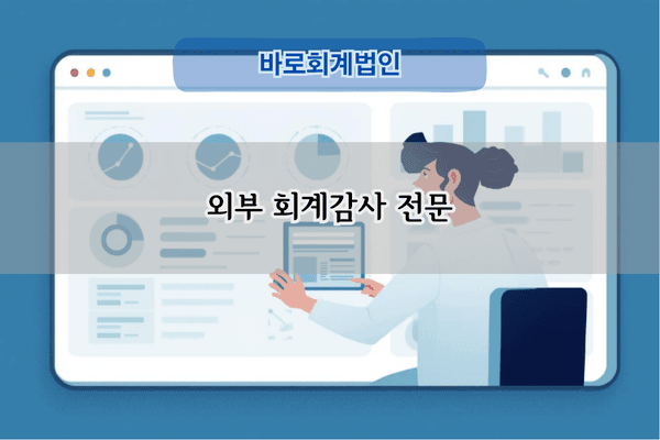 외부 회계감사 전문