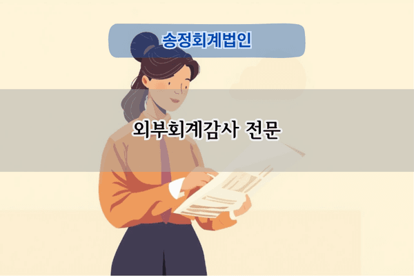 외부회계감사 전문