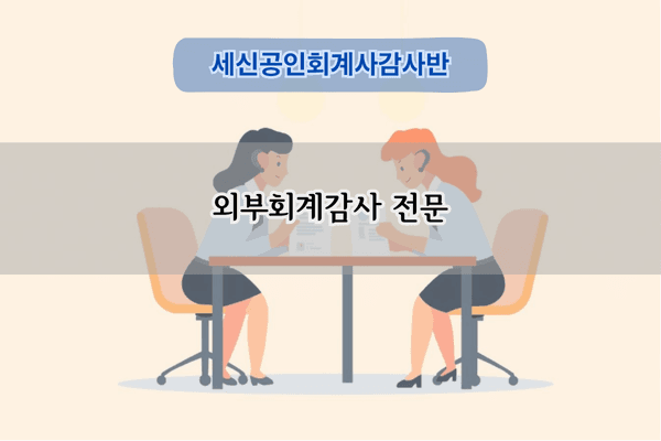 외부회계감사 전문