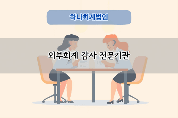 외부회계 감사 전문기관