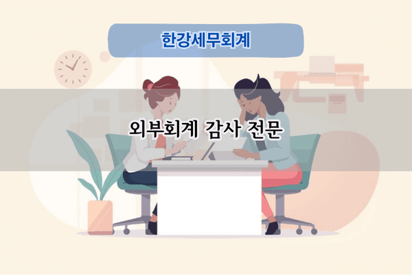 외부회계 감사 전문
